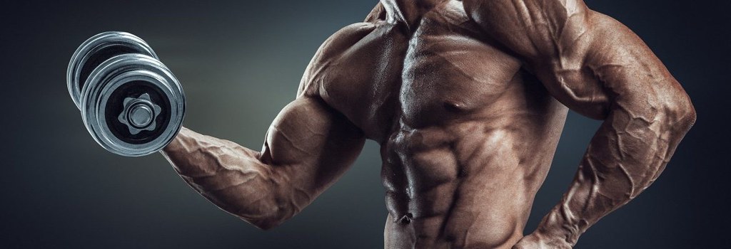 how to build muscle fast