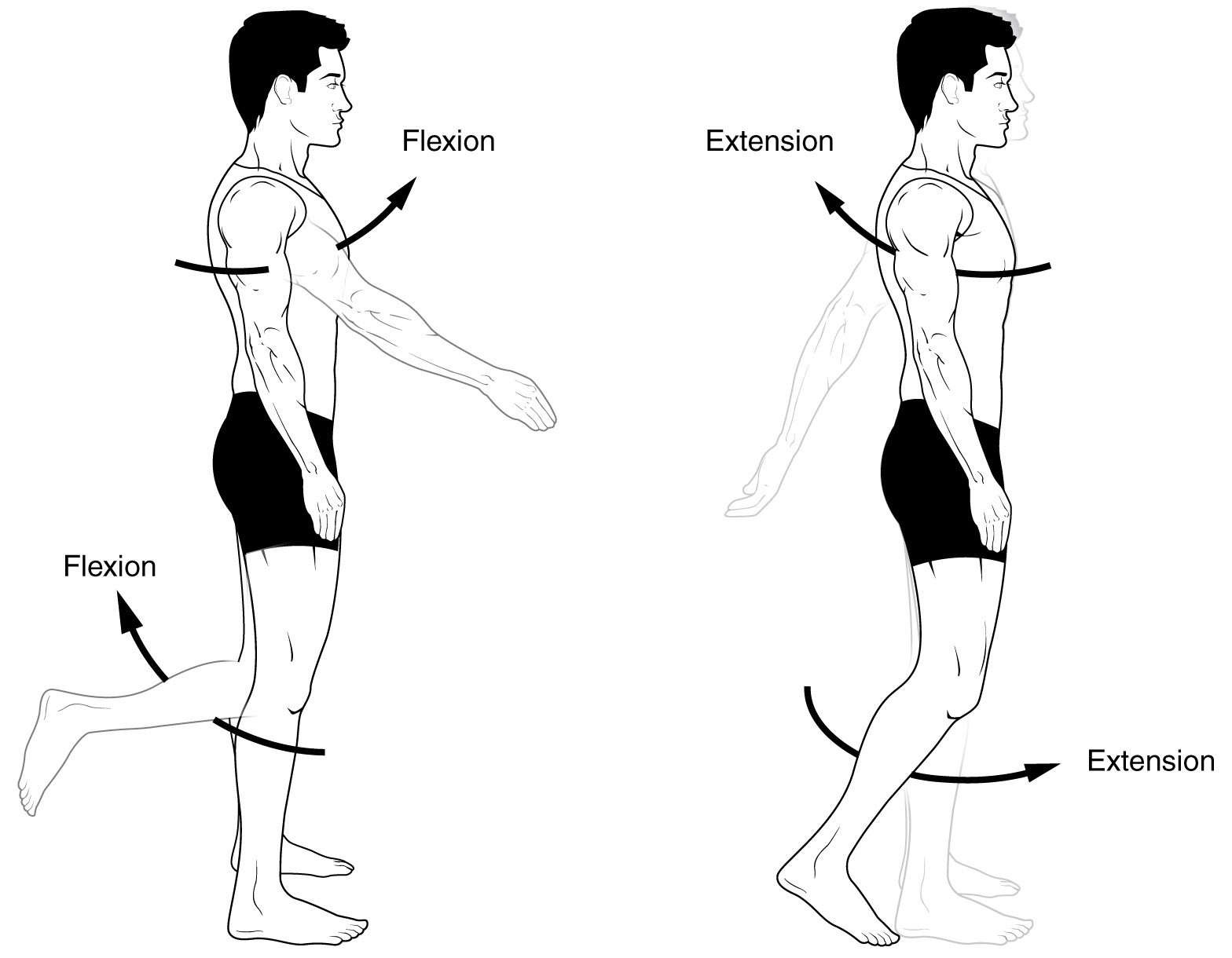 Shoulder Range of Motion